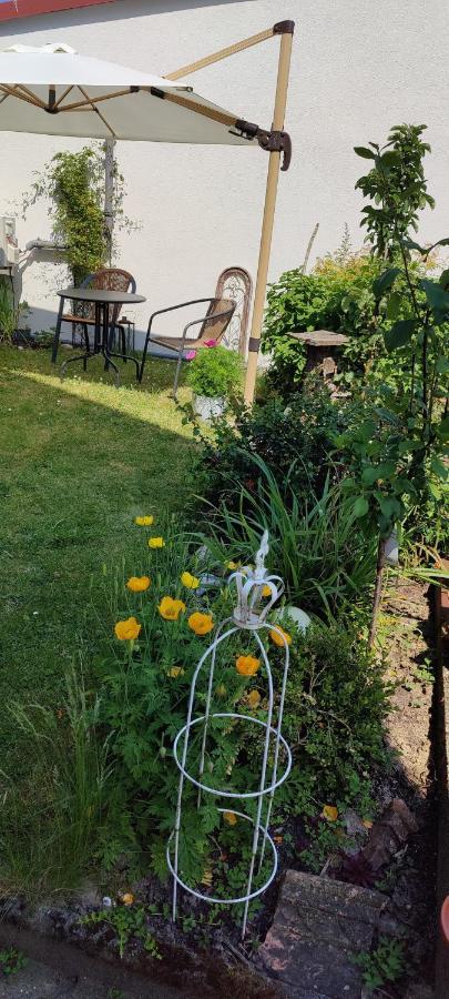 Apartment mit Gartenblick Oberzent Exterior foto
